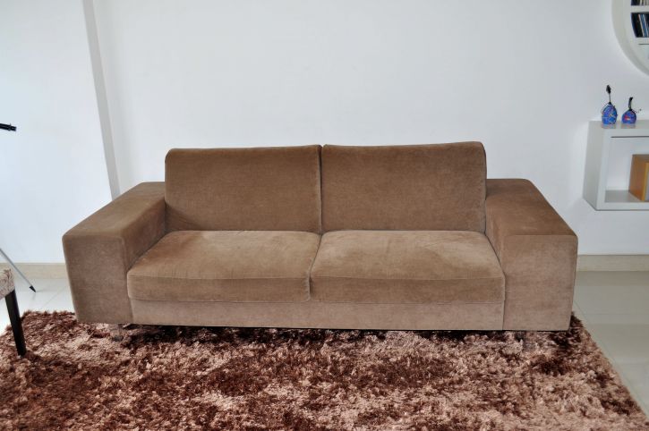 Poorly Matched, Old Carpet & Couch
